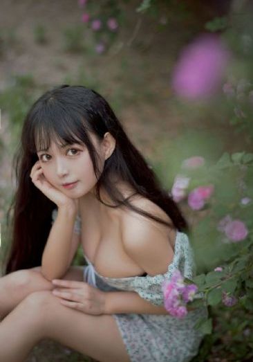 领家天使_1080P在线观看
